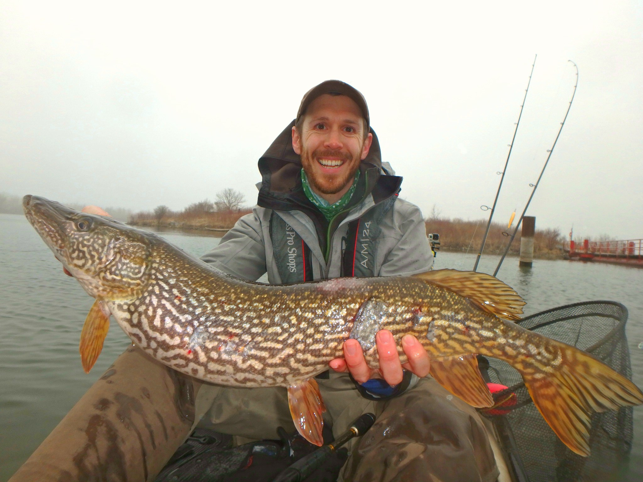 Urban Fisherman Reels In Some Big Ol' Northern Pike In Downtown Toronto