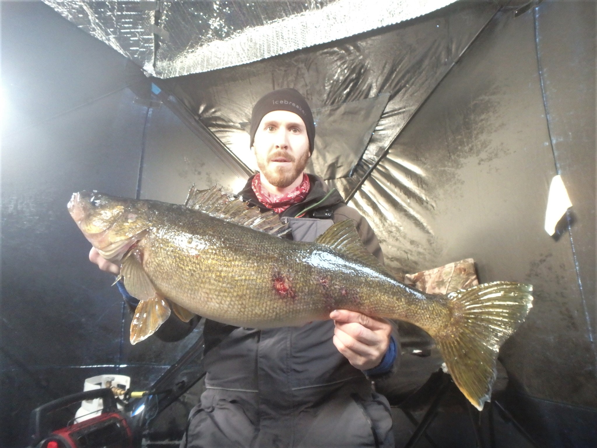 Matthew Randall holding a large whitefish