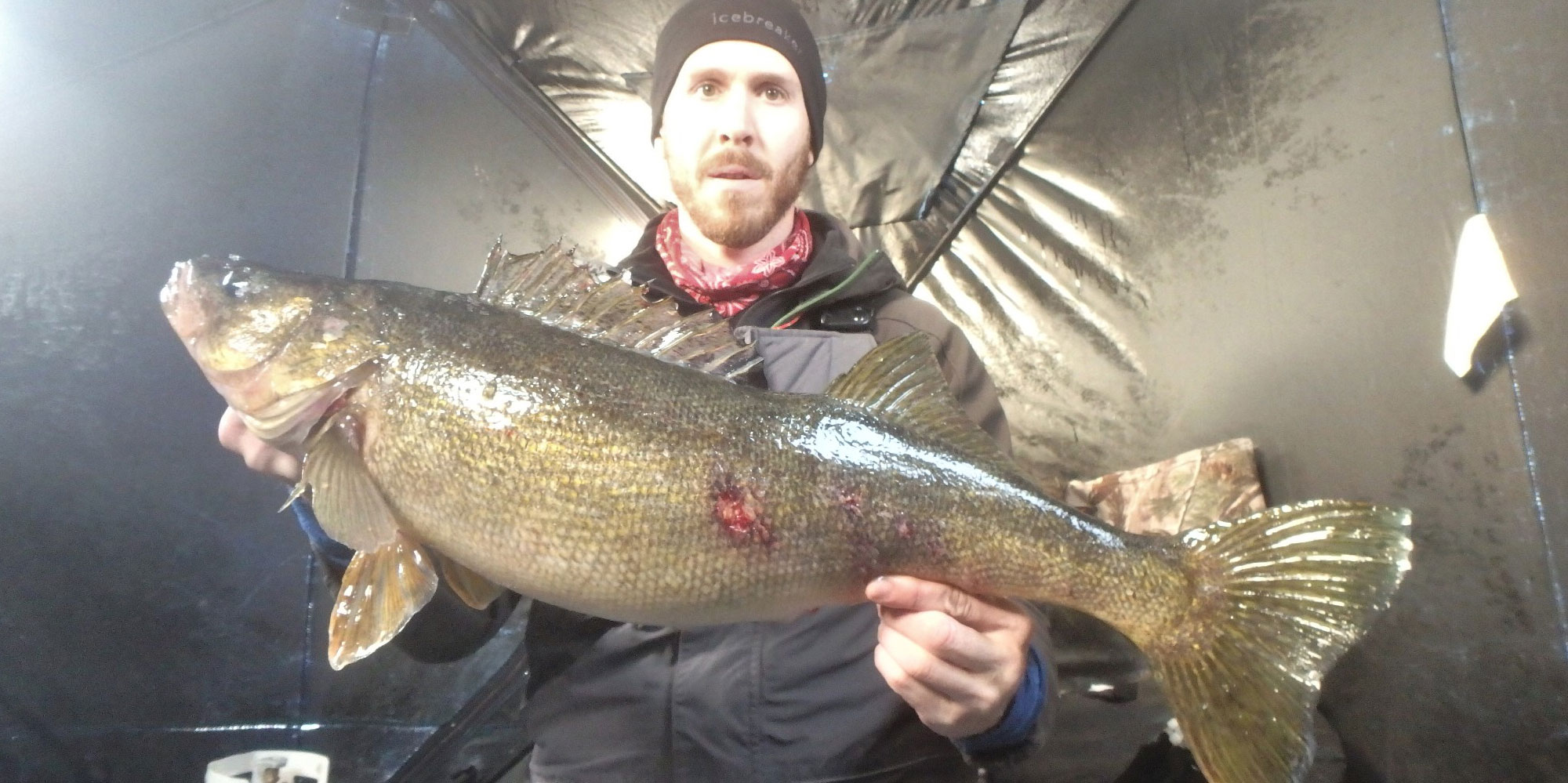 Matthew Randall holding a whitefish with a wound on Lake Simcoe.