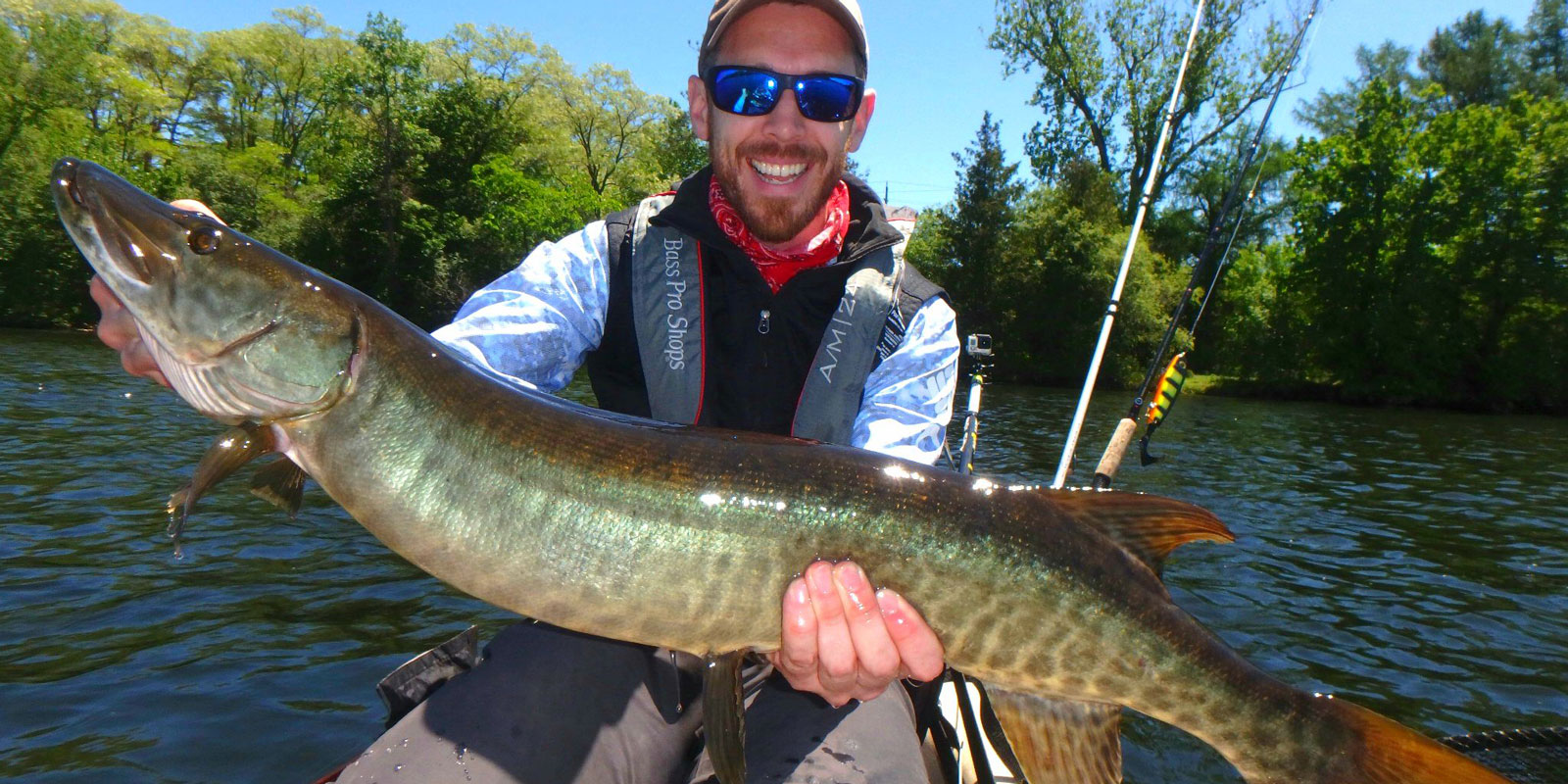 Matthew Randall holding a large Musky on the Otonabee river.