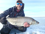 Matthew Randall holding a large Whitefish on a frozen Lake Simcoe.