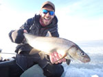 Matthew Randall holding a large Whitefish on a frozen Lake Simcoe.