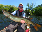 Matthew Randall holding a large Musky on the Otonabee River.